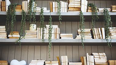 Bücher und Grünpflanzen auf einem Regal, Publikationen