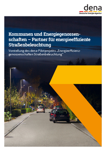 Flyer: Kommunen und Energiegenossenschaften – Partner für energieeffiziente Straßenbeleuchtung